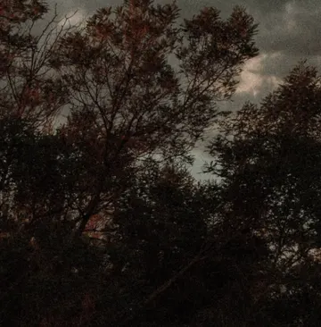 Contoh varian foto dengan rasio kotak yang ikut disesuaikan sehingga tampak seimbang di berbagai perangkat.